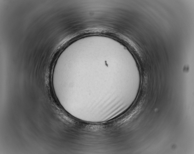 X0000099580778200806061626