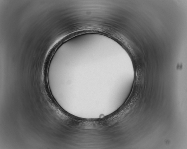 X0000099580780200806061626