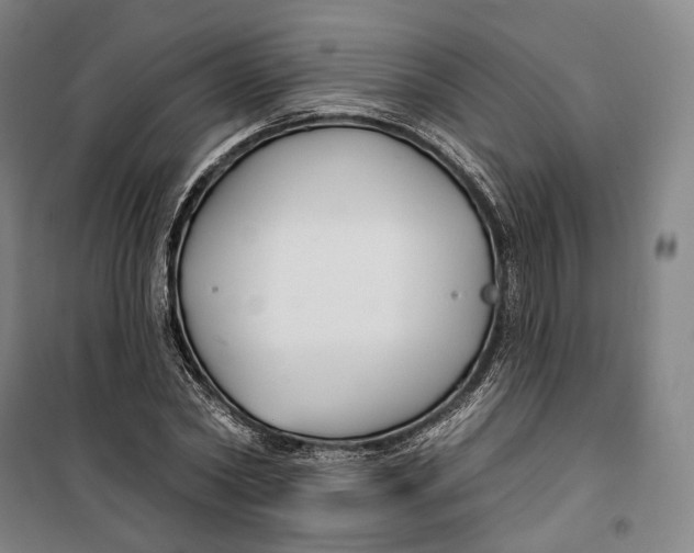 X0000099580782200806061626