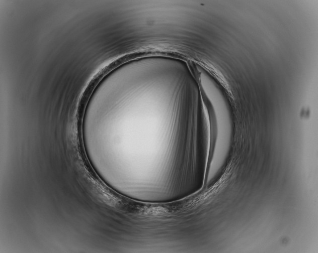 X0000099580784200806061626