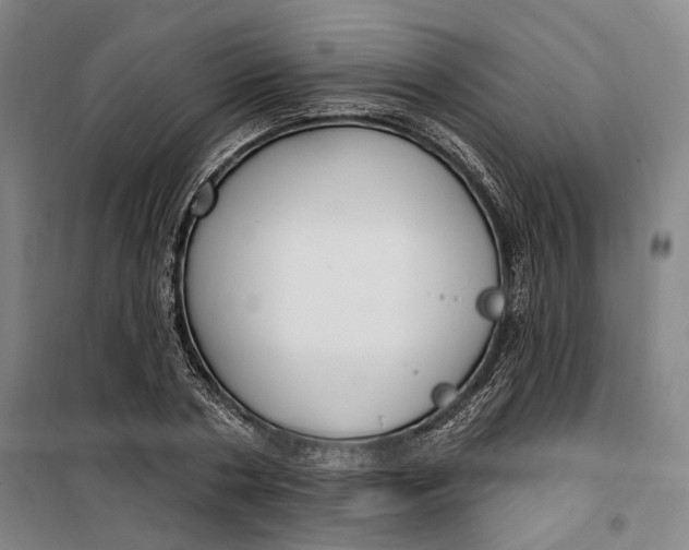 X0000099580786200806061626