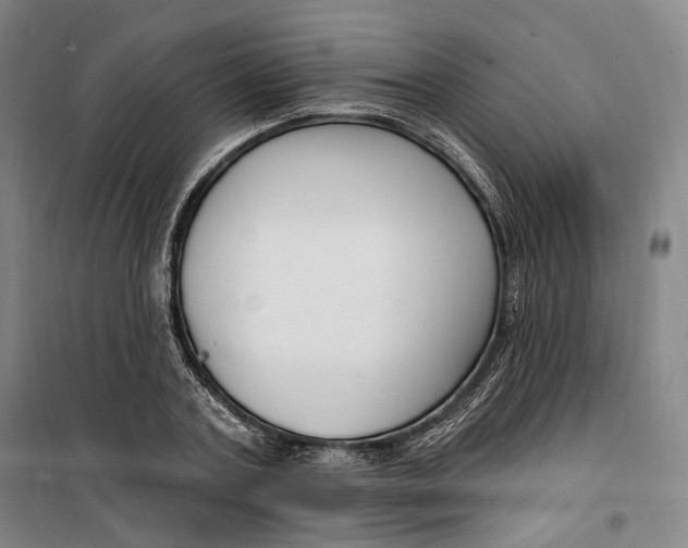 X0000099580787200806061626