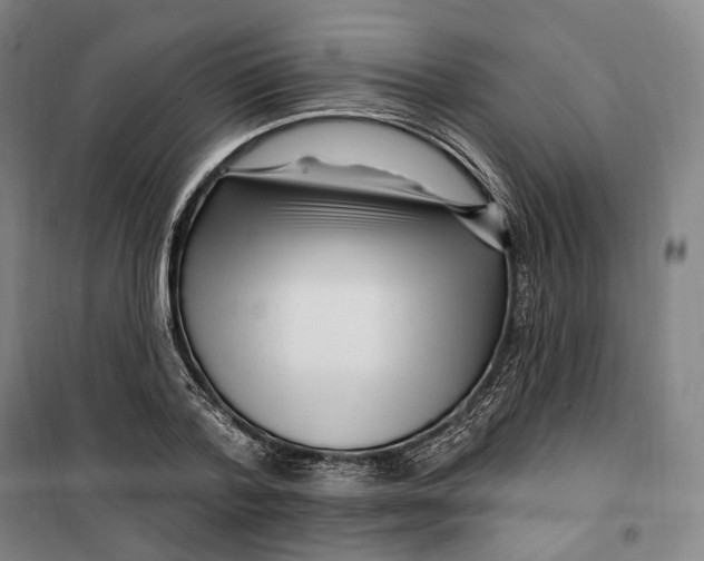 X0000099580788200806061626