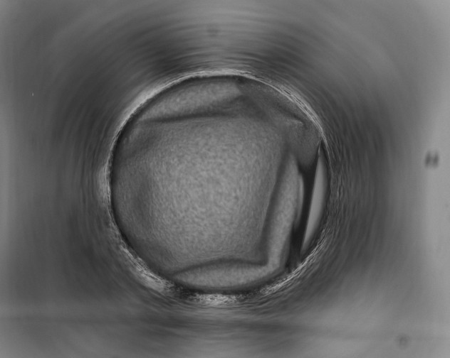 X0000099580789200806061626