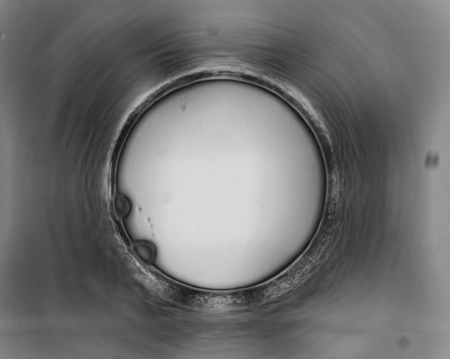 X0000099580791200806061626