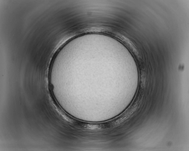 X0000099580794200806061625