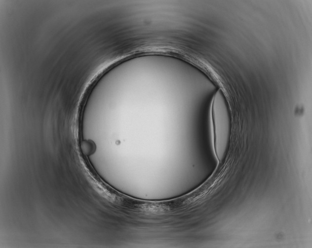 X0000099580795200806061625