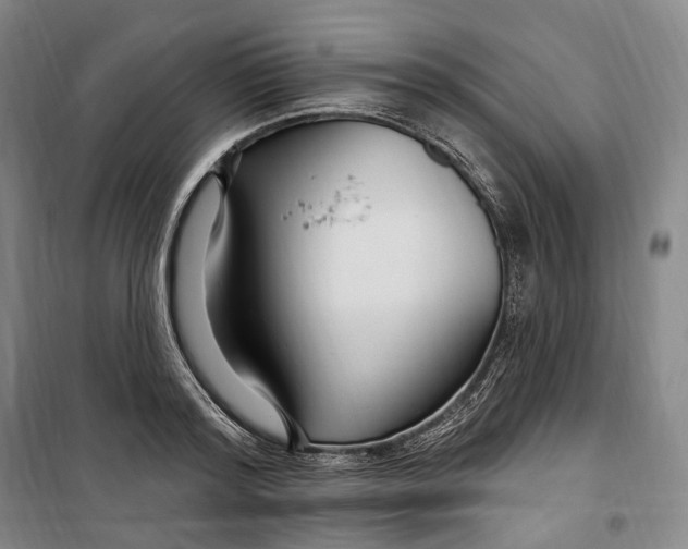 X0000099580796200806061625