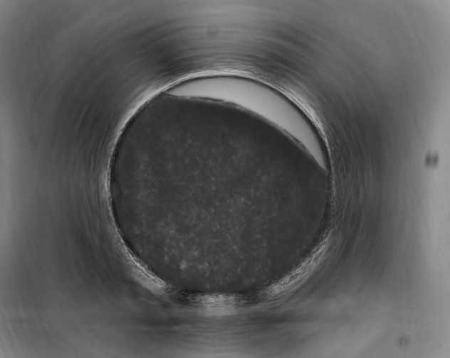 X0000099580797200806061625