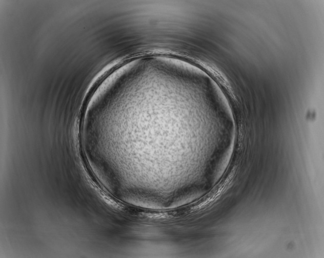 X0000099580798200806061625