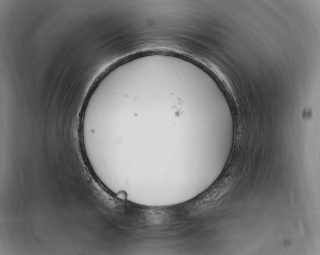 X0000099580799200806061625