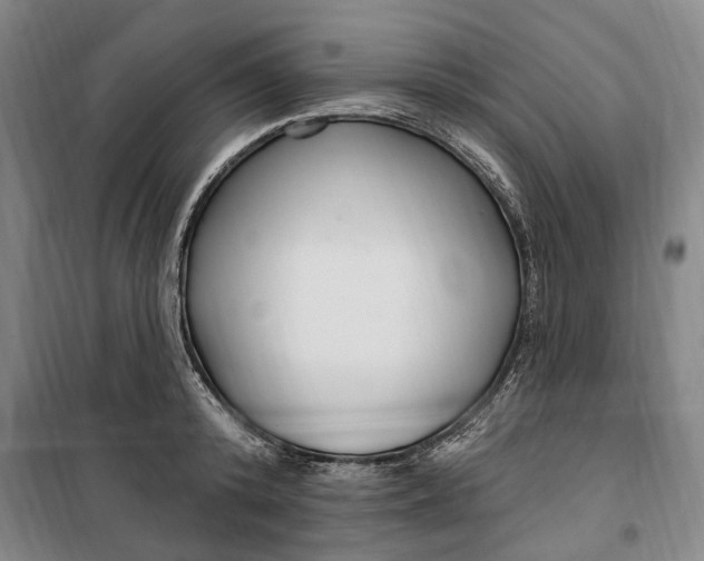 X0000099580800200806061625