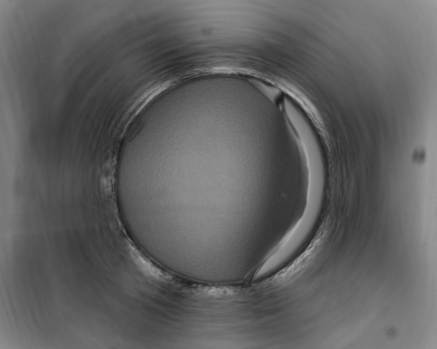 X0000099580801200806061625