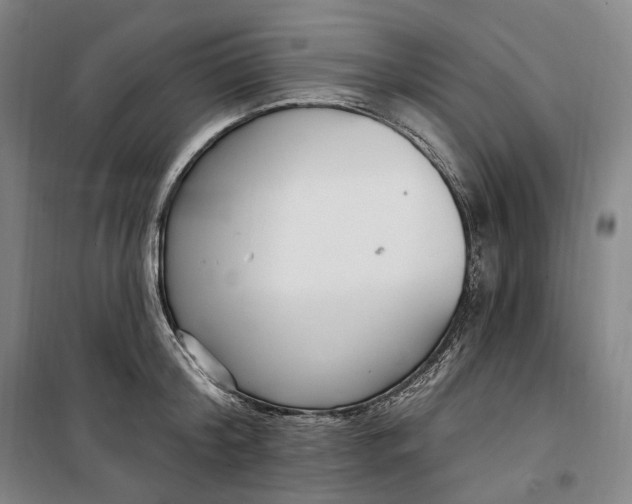 X0000099580804200806061625