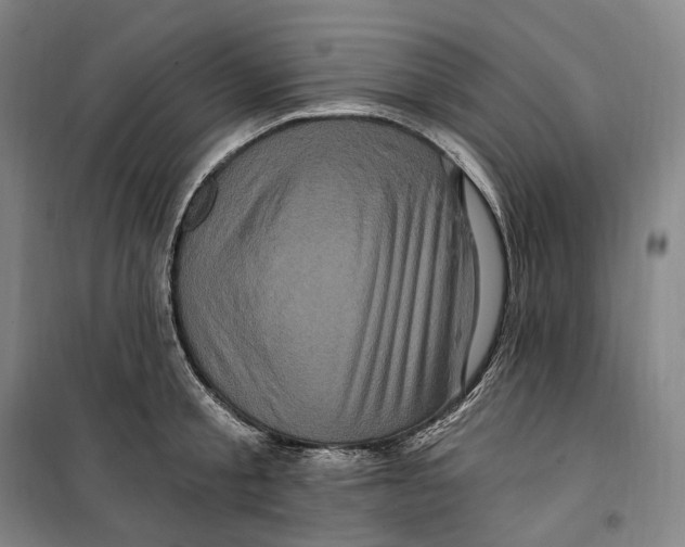 X0000099580805200806061625