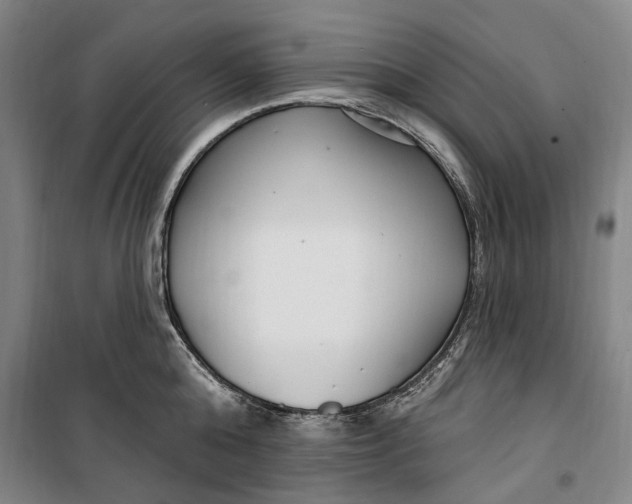 X0000099580808200806061625