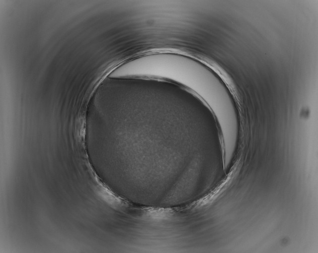 X0000099580809200806061625