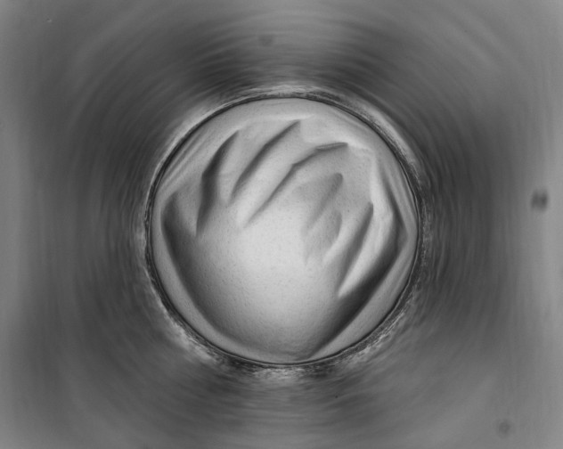 X0000099580810200806061625