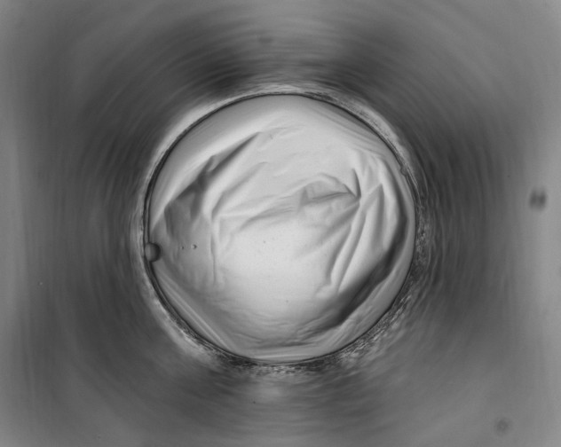 X0000099580811200806061625