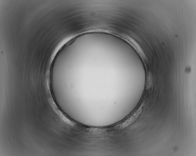 X0000099580812200806061625