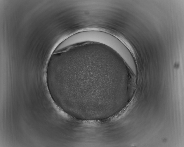 X0000099580813200806061625