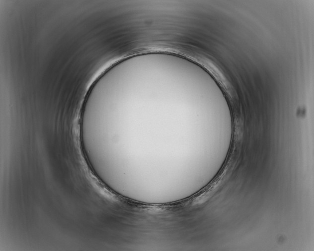 X0000099580814200806061625