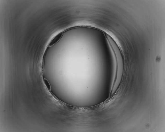 X0000099580815200806061625