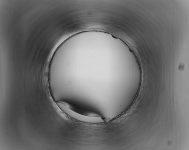 X0000099580816200806061625