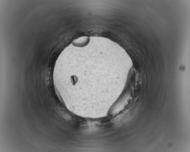 X0000099580818200806061624