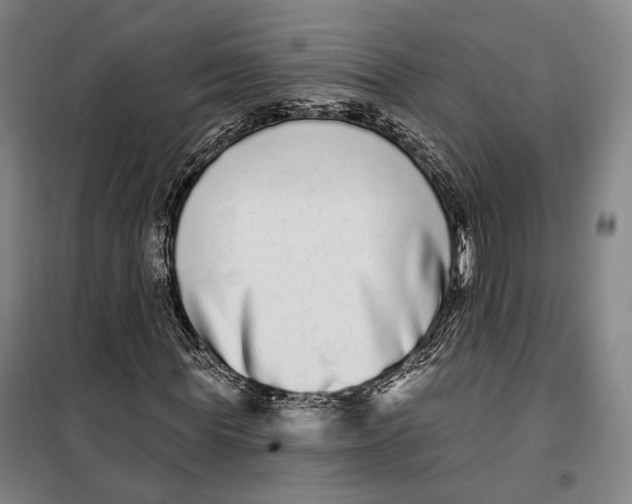 X0000099580819200806061624