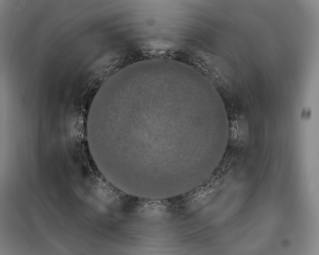 X0000099580820200806061624