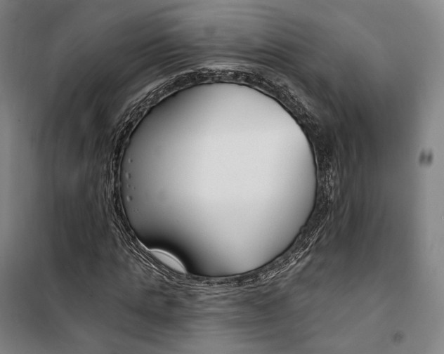 X0000099580821200806061624