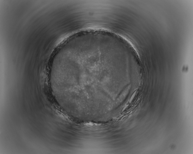 X0000099580823200806061625