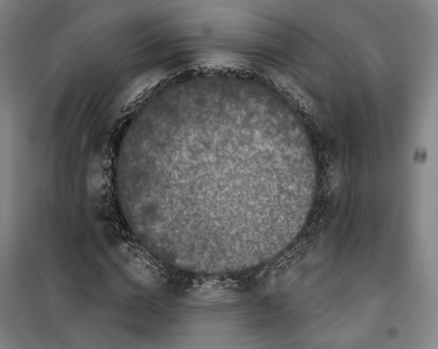 X0000099580824200806061625