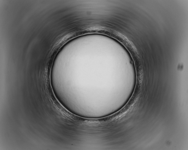 X0000099580825200806061625