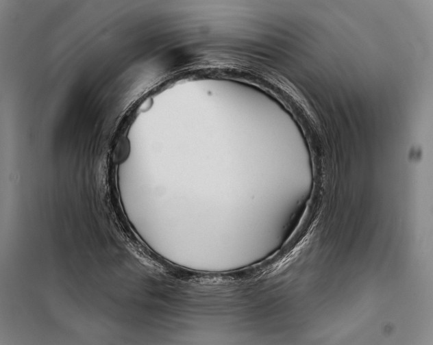 X0000099580826200806061625