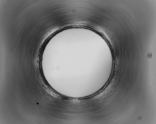 X0000099580827200806061625