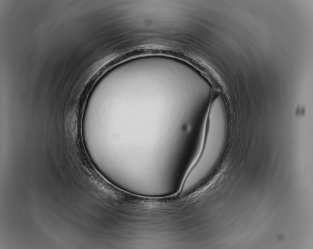 X0000099580829200806061625