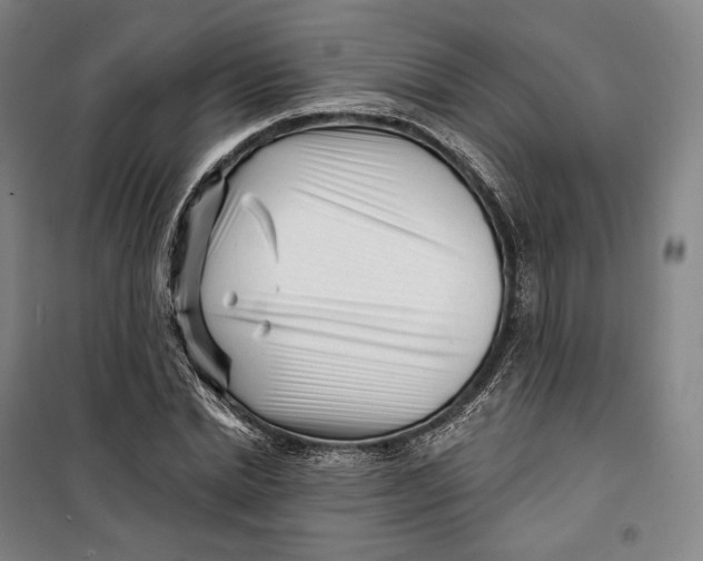 X0000099580830200806061625