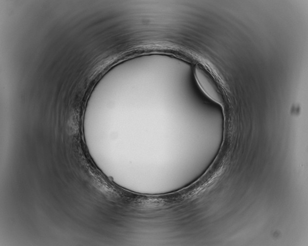 X0000099580833200806061625