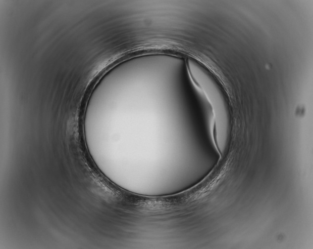 X0000099580834200806061625