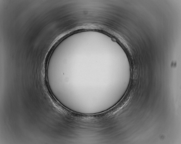 X0000099580837200806061625