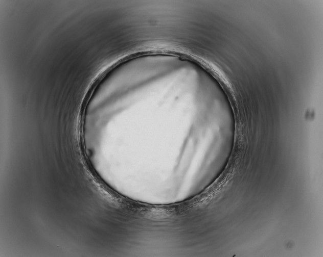 X0000099580839200806061625