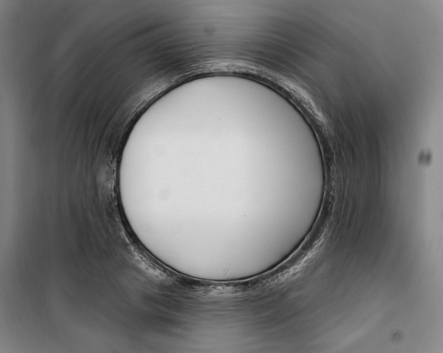 X0000099580841200806061625