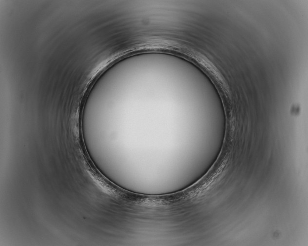 X0000099580842200806061625