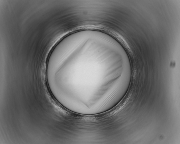 X0000099580844200806061625