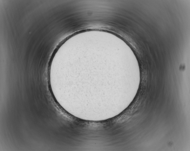 X0000099580848200806061625