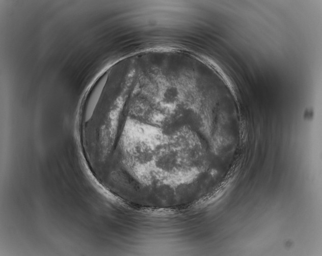 X0000099580851200806061625