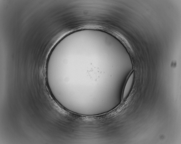 X0000099580852200806061625