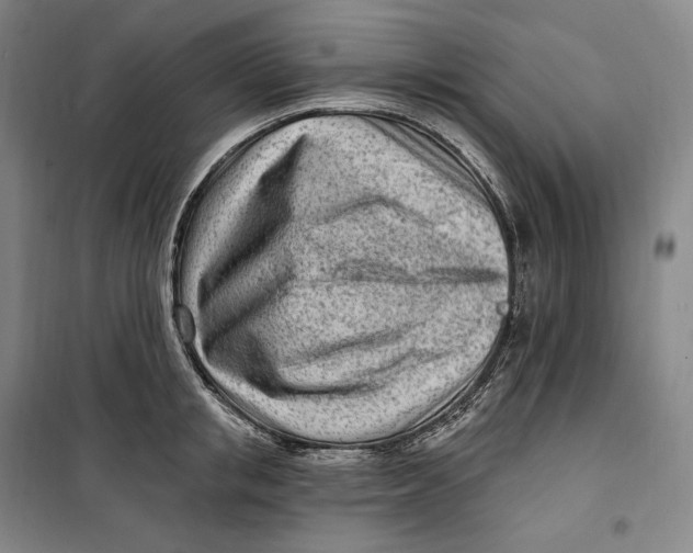 X0000099580853200806061625